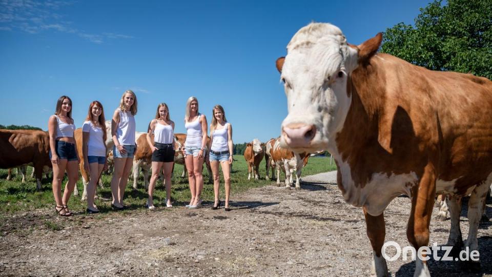 Beim Fotoshooting für die Presse stehen die Models (von links) Julia, Stephanie, Silvia, Larissa, Tanja und Daniela für den Jungbäuerinnenkalender 2020 auf einer Kuhwiese. Bild: Sina Schuldt