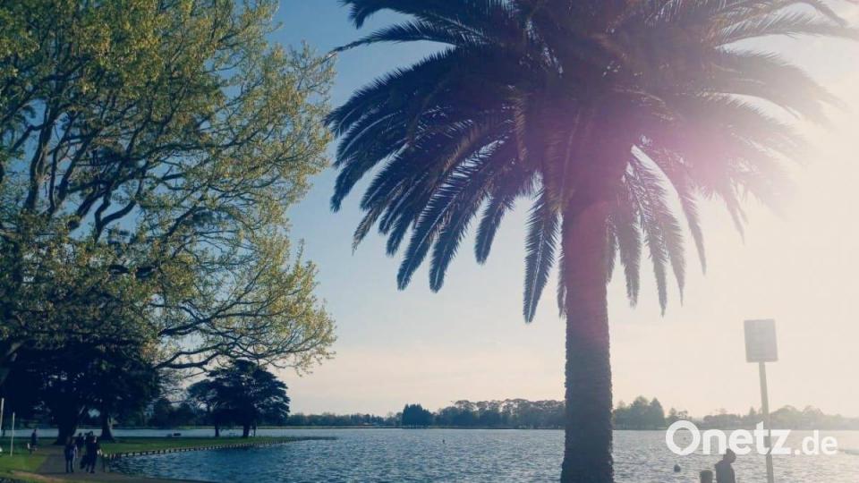 Vor einem Jahr wanderten Joseph und Christina Walberer mit ihrem Sohn Lukas nach Neuseeland aus. Der Lieblingsplatz der Familie ist am Hamilton Lake, dort gehen sie gern Spazieren. Bild: exb/privat