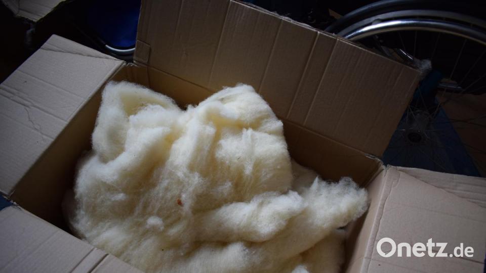 Noch zwei Kisten bereits kardierte Wolle lagern im Büro. Bild: szl