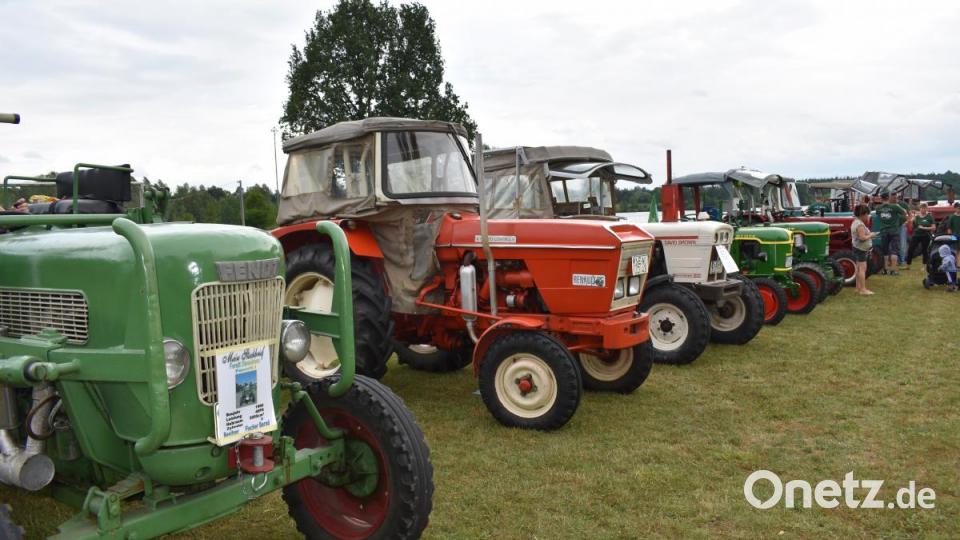 Oldtimer-Bulldogtreffen in Hütten. Bild: rgr