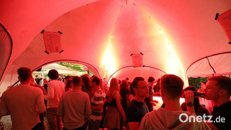 Zehntausende Besucher feierten zusammen am Samstag das Amberger-Altstadtfest. Bild: Wolfgang Steinbacher