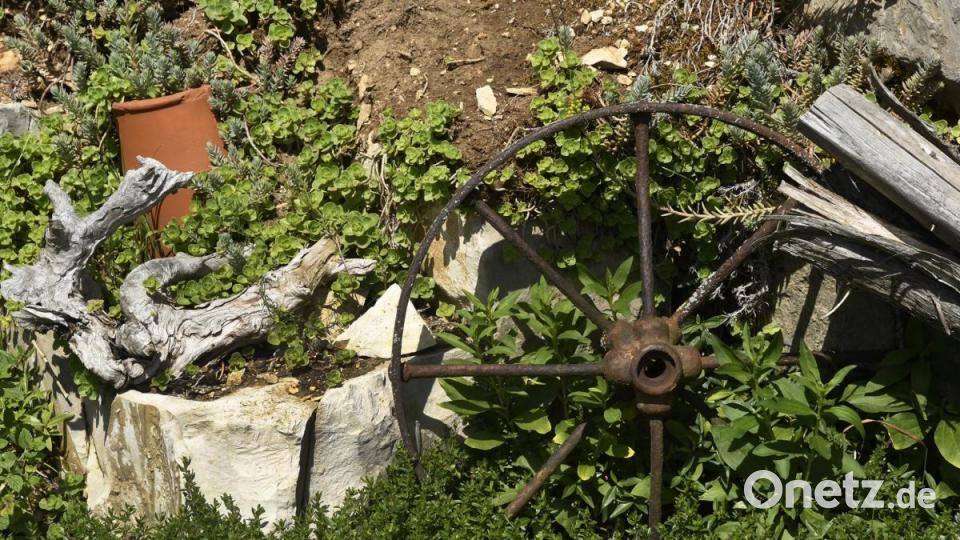 Tag der offenen Gartentür in Utzenhofen im Landkreis Amberg-Sulzbach Bild: Petra Hartl