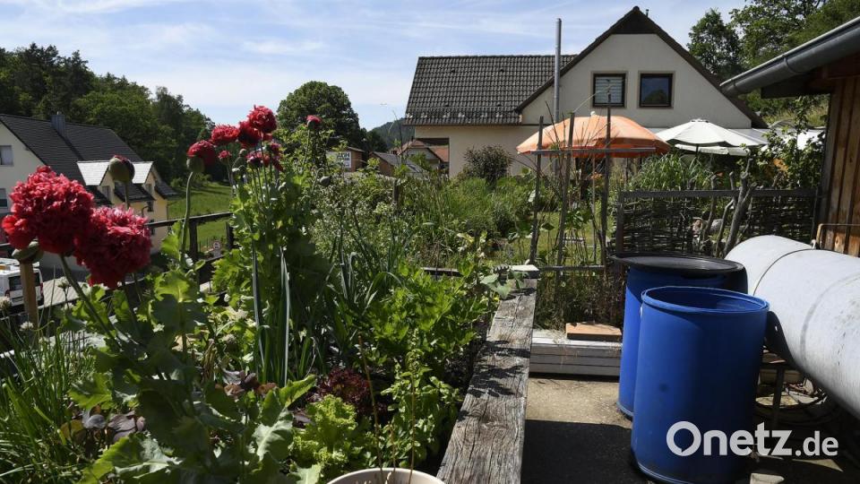 Tag der offenen Gartentür in Utzenhofen im Landkreis Amberg-Sulzbach Bild: Petra Hartl