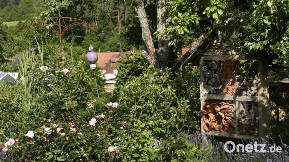 Tag der offenen Gartentür in Utzenhofen im Landkreis Amberg-Sulzbach Bild: Petra Hartl