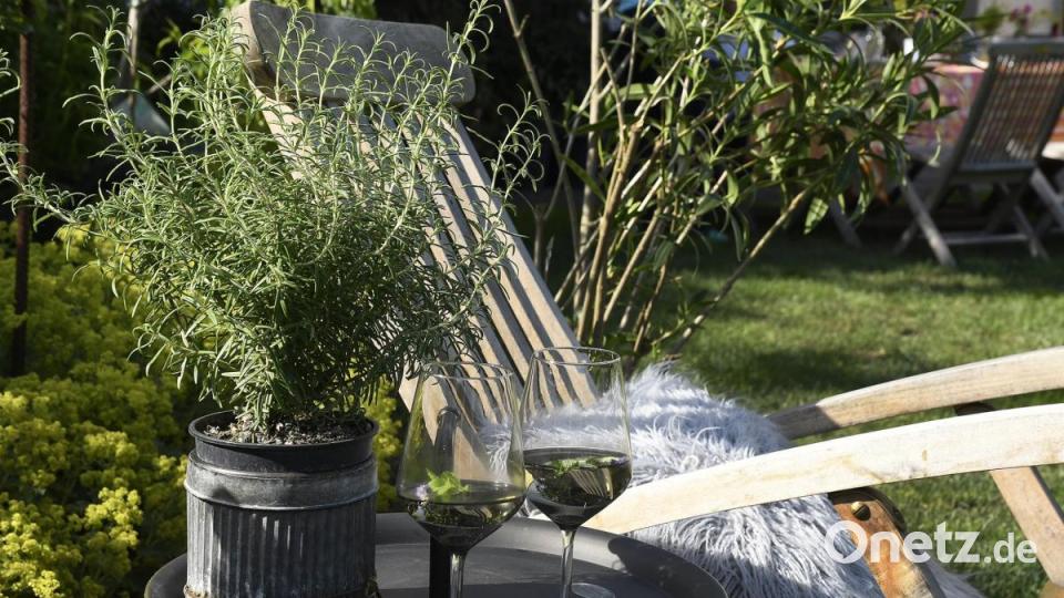 Tag der offenen Gartentür in Utzenhofen im Landkreis Amberg-Sulzbach Bild: Petra Hartl