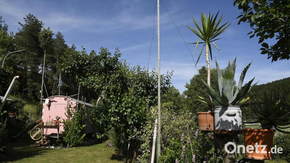 Tag der offenen Gartentür in Utzenhofen im Landkreis Amberg-Sulzbach Bild: Petra Hartl