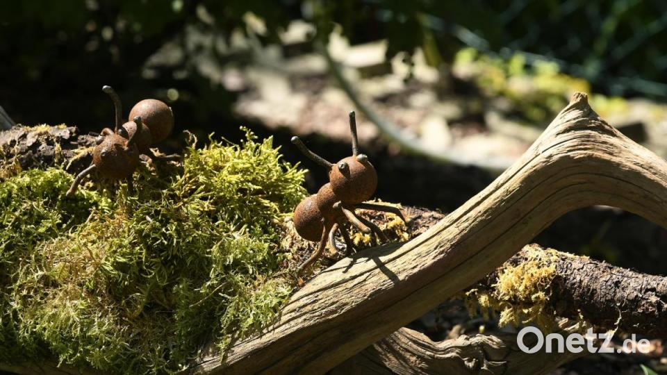 Tag der offenen Gartentür in Utzenhofen im Landkreis Amberg-Sulzbach Bild: Petra Hartl