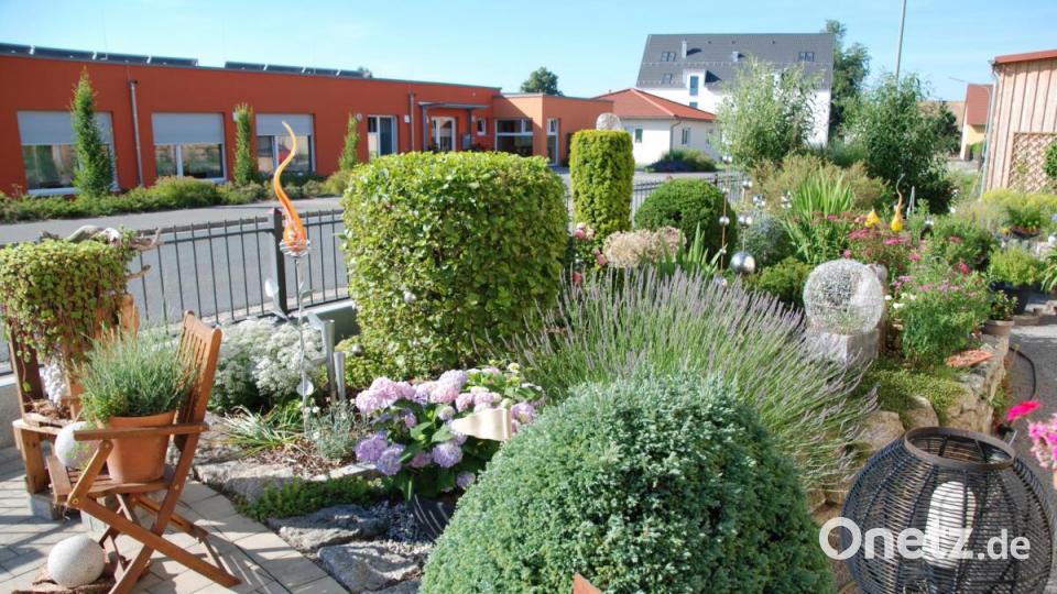 Vorgarten der Familie Deml in Klardorf. Bild: Portner