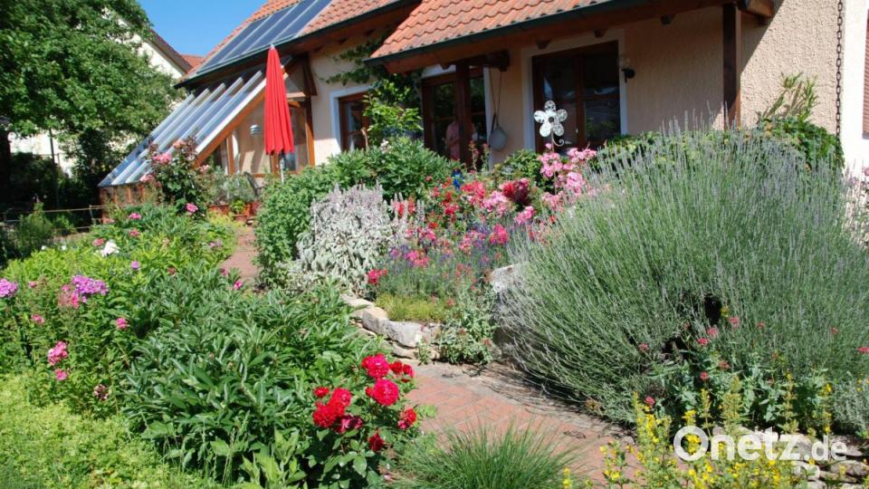 Terrasse der Familie Pisthol . Bild: Portner