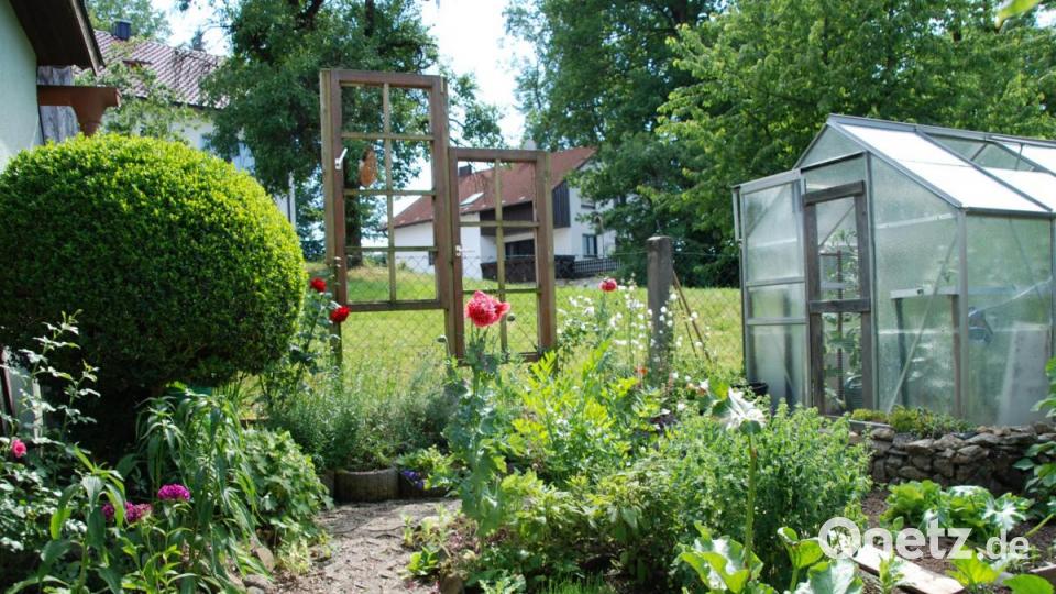 Der Gemüsegarten ist reich bepflanzt. Bild: Portner