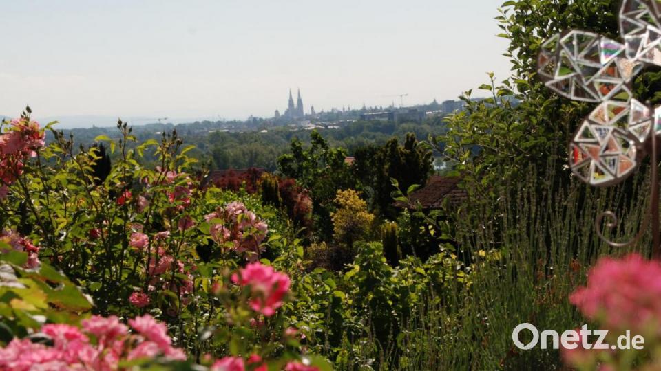 Blick vom Garten auf Regensburg mit Dom. Diese Aussicht genießt die Familie Pisthol in Kneiting. Bild: Portner