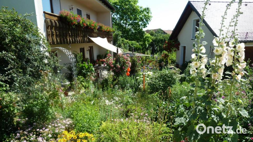 Vorgarten der Familie Kroneder. Bild: Portner