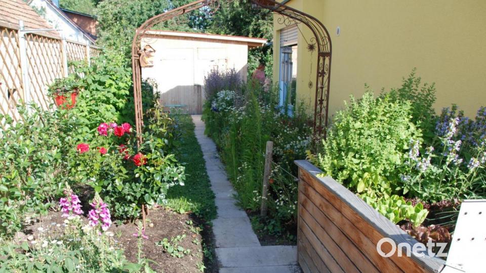 Gemüsegarten von Jörg Wienecke. Bild: Portner