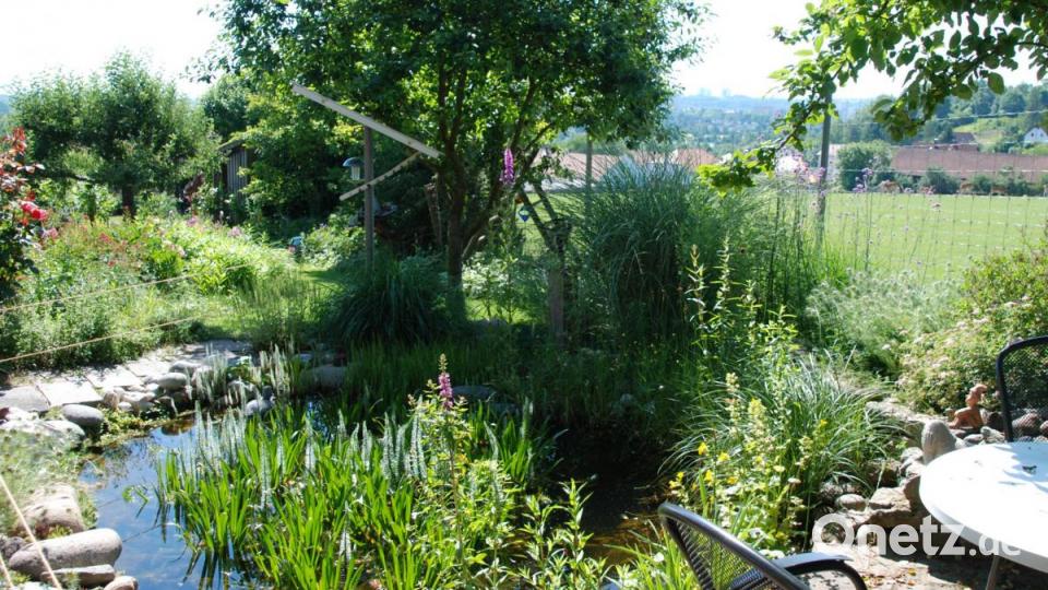 Gartenteich mit solarbetriebenen Bachlauf der Familie Pisthol. Bild: Portner