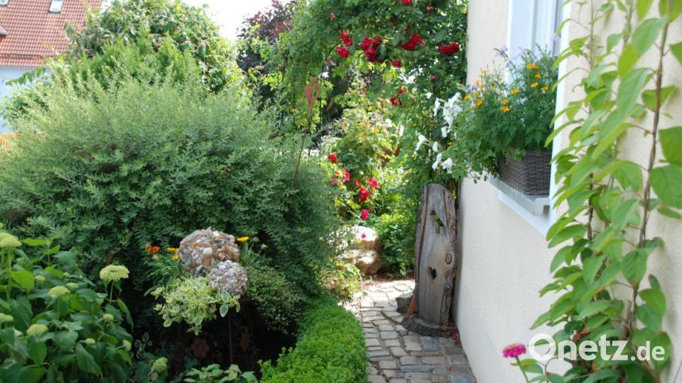 Vorgarten von Christine Kellner in Irchenrieth. Bild: Portner