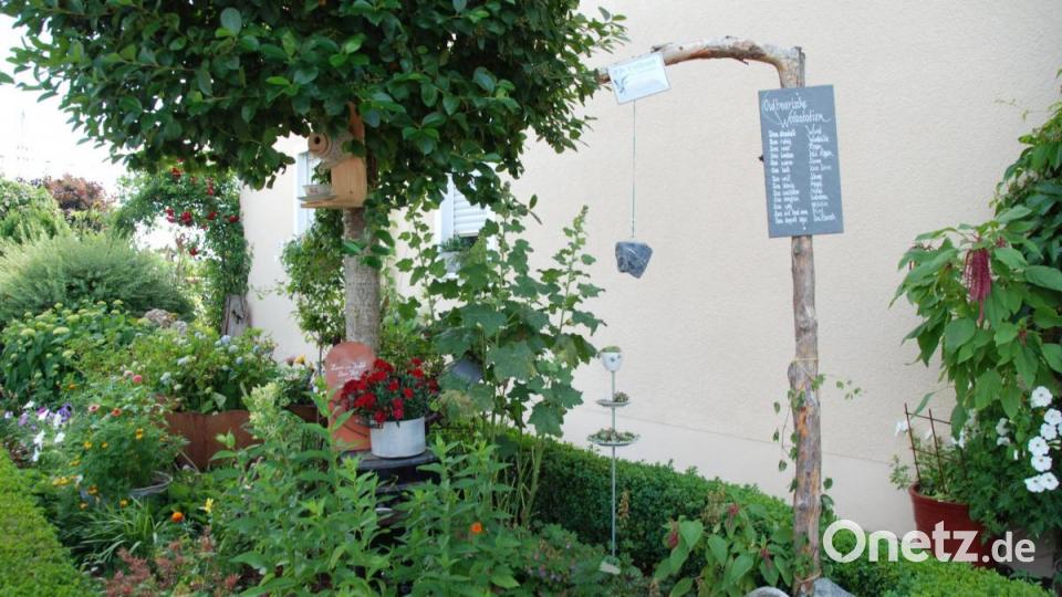 Vorgarten von Christine Kellner in Irchenrieth. Bild: Portner