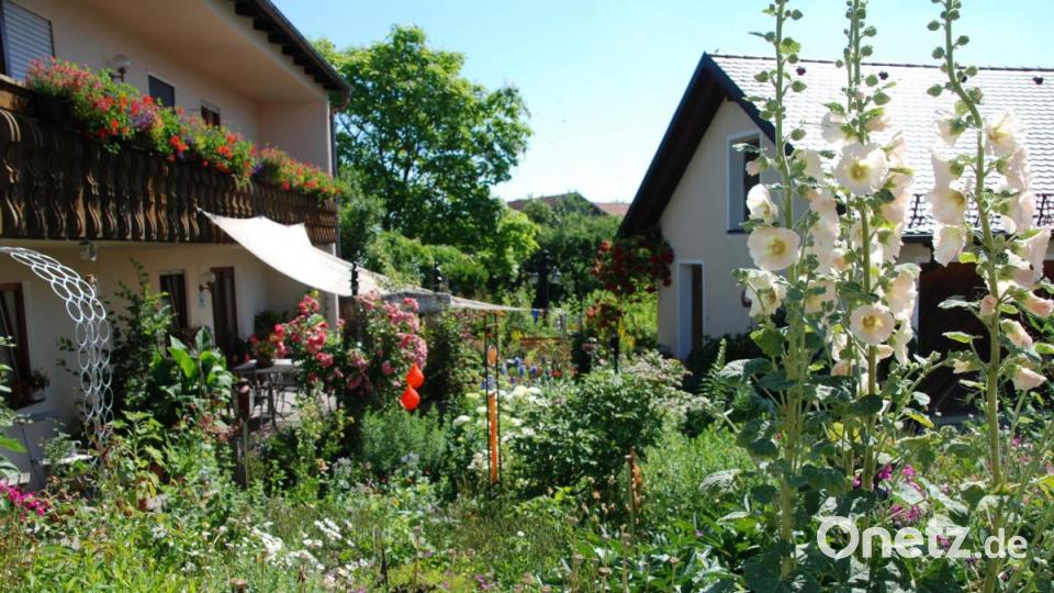 Üppig blühender Vorgarten der Familie Kroneder in Kneiting. Bild: Portner