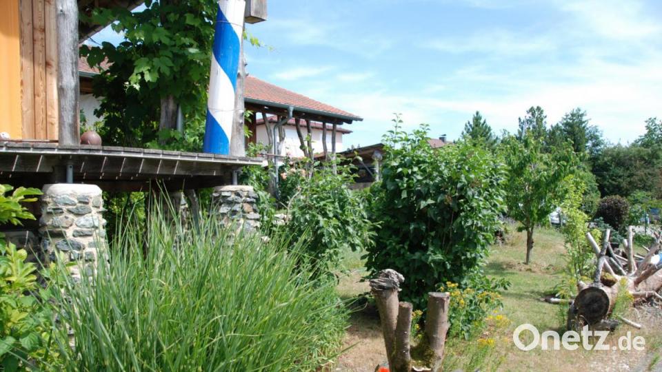Bei der Familie Urban in Irchenrieth. Bild: Portner