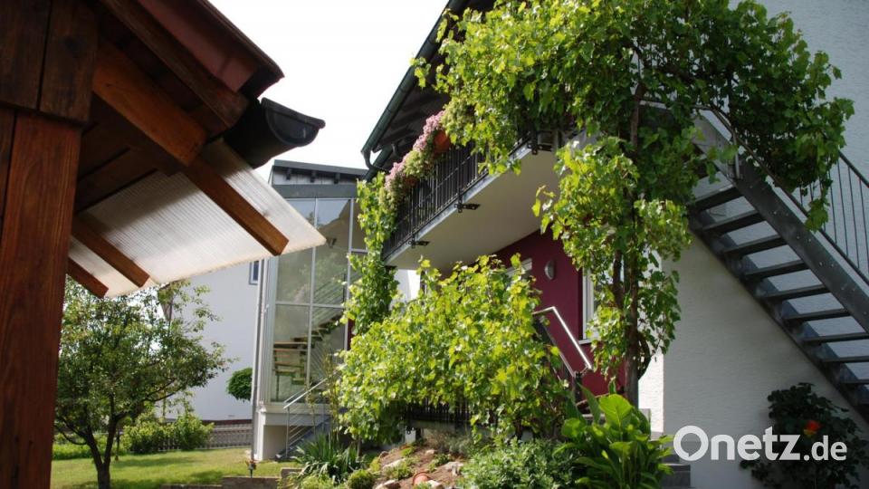 Bei der Familie Stangl in Irchenrieth begrünen zwei Weinstöcke das gesamte Balkongeländer. Bild: Portner