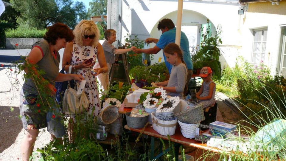 Kräuter- und Gartenpflanzen für daheim gab es jede Menge. Bild: kgg