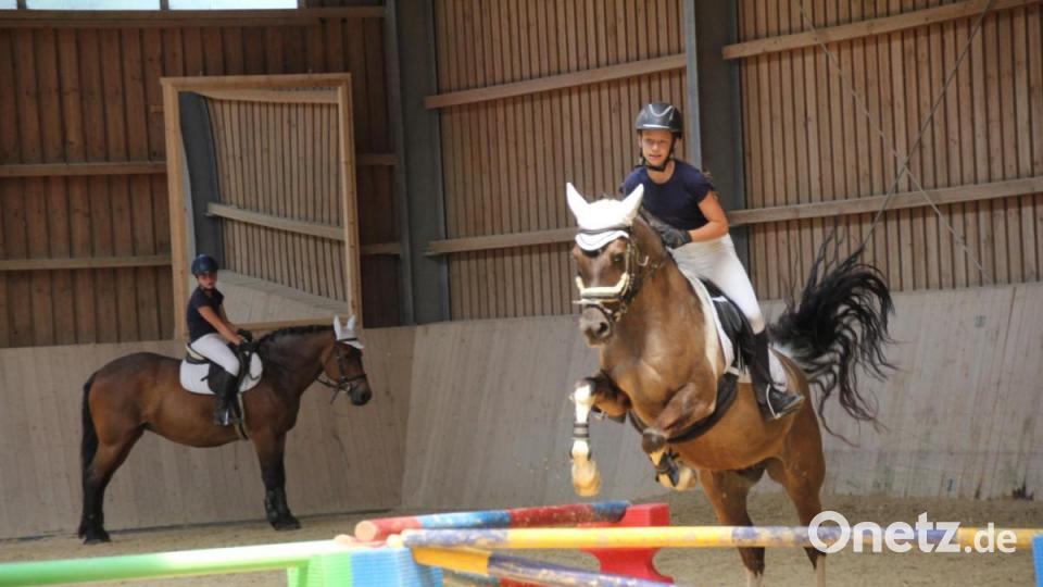Beim „Tag des Pferdes“ gab es tolle Reitvorführungen in der Reithalle des Pferdesportvereins. Bild: frd