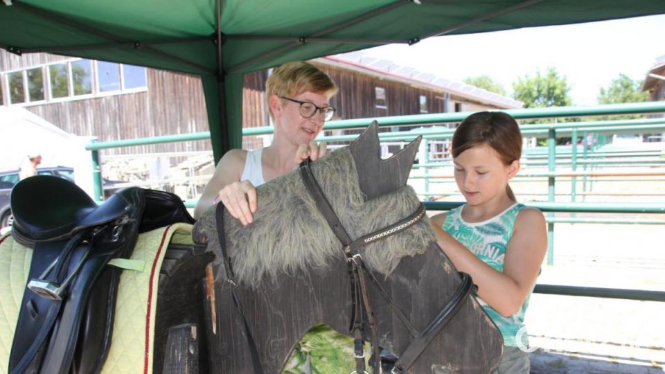 Der Pferdesporverein zeigte am Übungspferd, wie der Vierbeiner richtig gezäumt und gesattelt wird. Bild: frd