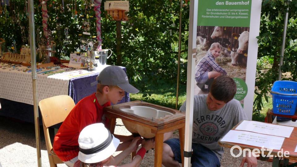 Melkunterricht für Kinder beim Erlebnisbauern Michael Richtmann. Bild: kgg