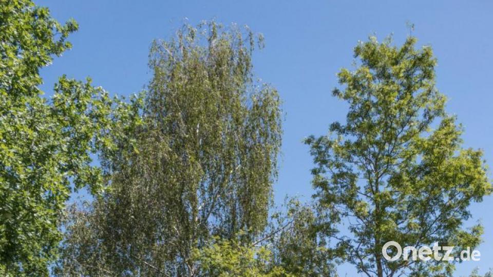 Trotz über 30 Grad Lufttemperatur und glühend heißem Asphalt, die Stimmung auf der Strecke war bestens. Die Radler genossen die atemberaubenden Panoramen, welche der Veranstaltung den Namen einbrachten. Bild: dtr