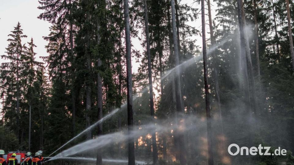 Trotz gefallener Temperaturen bei Sonnenuntergang, die Einsatzkräfte kamen beim Ausbringen der 54.000 Liter Wasser kräftig ins Schwitzen. Bild: dtr