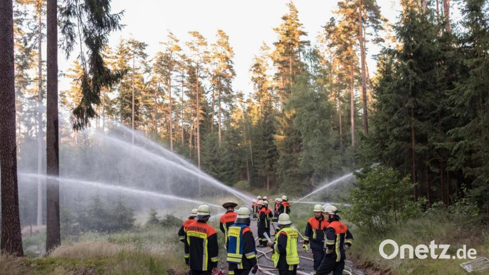 Trotz gefallener Temperaturen bei Sonnenuntergang kamen die Einsatzkräfte beim Ausbringen der 54.000 Liter Wasser kräftig ins Schwitzen. Bild: dtr