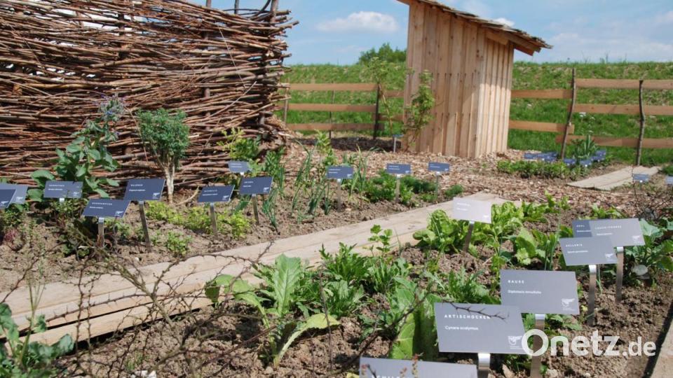 Römische Gartenschätze mit vielen alten Sorten. Bild: Portner