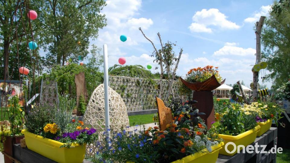 Bienenfreundlich bepflanze Balkonkästen für den kleinsten Raum. Bild: Portner