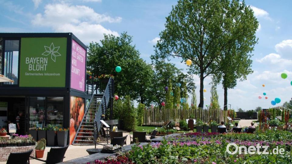 Bayerns beste Blüten werden beim Pavillon präsentiert. Bild: Portner