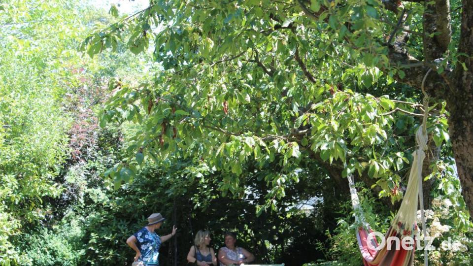 Die Schaukel ist ein willkommenes Plätzchen im Schatten. Bild: Susanne Forster