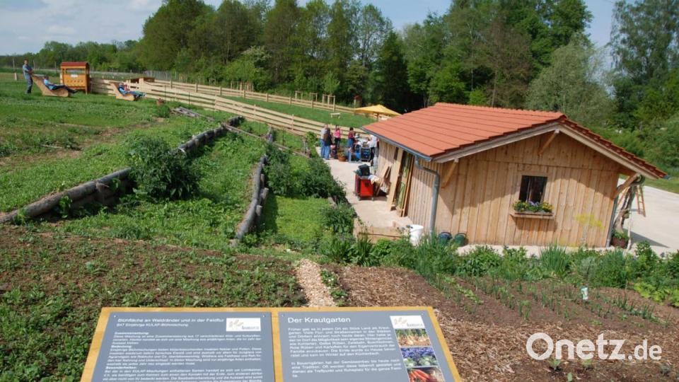 Die Scheune des Team "Ackerschätze" mit vielen alten Sorten an Getreide und Pflanzen am Feld. Bild: Portner
