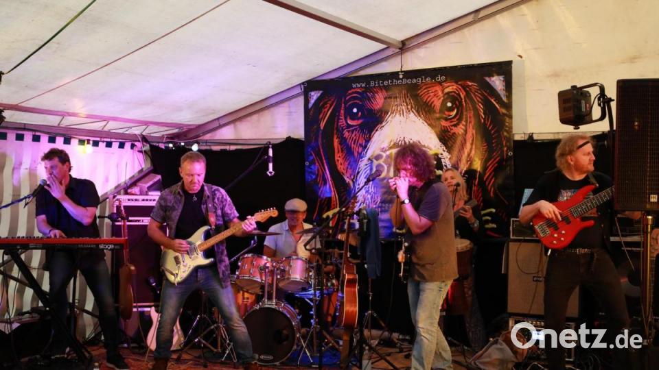 Die Band &quot;Bite the Beagle&quot;. Bild: njn