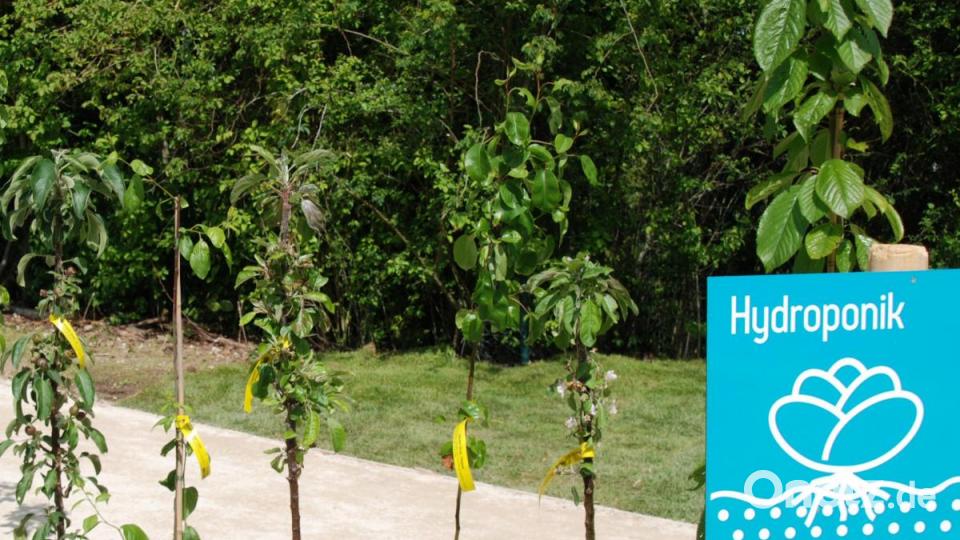 Informieren und Neues dazulernen ist auf vielen Stationen möglich. Bild: Portner