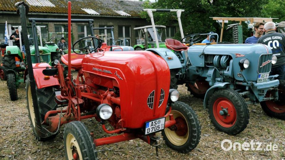 Auch zahlreiche Oldtimer-Schlepper wurden zum 35. Jahrestreffen der Freunde besonderer Fahrzeuge angemeldet. Bild: gf