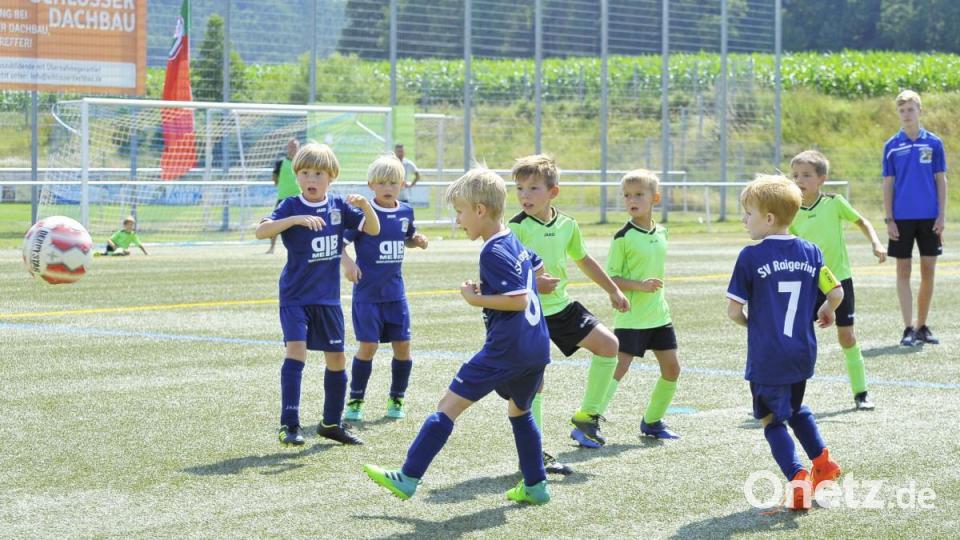 Widmann Cup 2019, G-Junioren

Saison: 2019/20

Bild: Ziegler Bild: Ziegler
