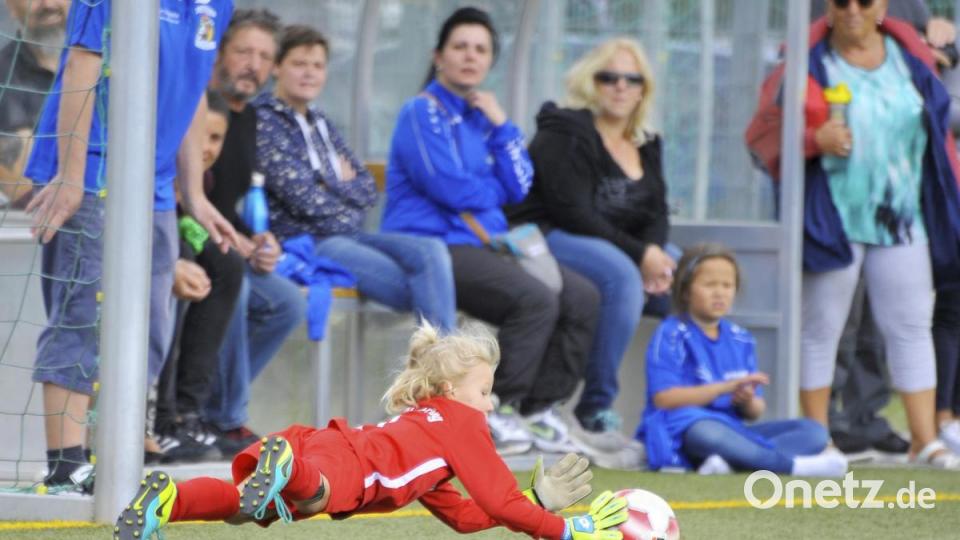 Widmann Cup 2019, G-Junioren

Saison: 2019/20

Bild: Ziegler Bild: Ziegler