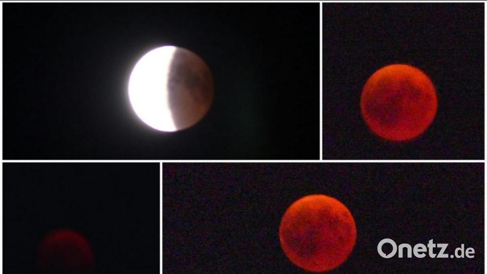 Mondfinsternis Bild: Ilse Hauer