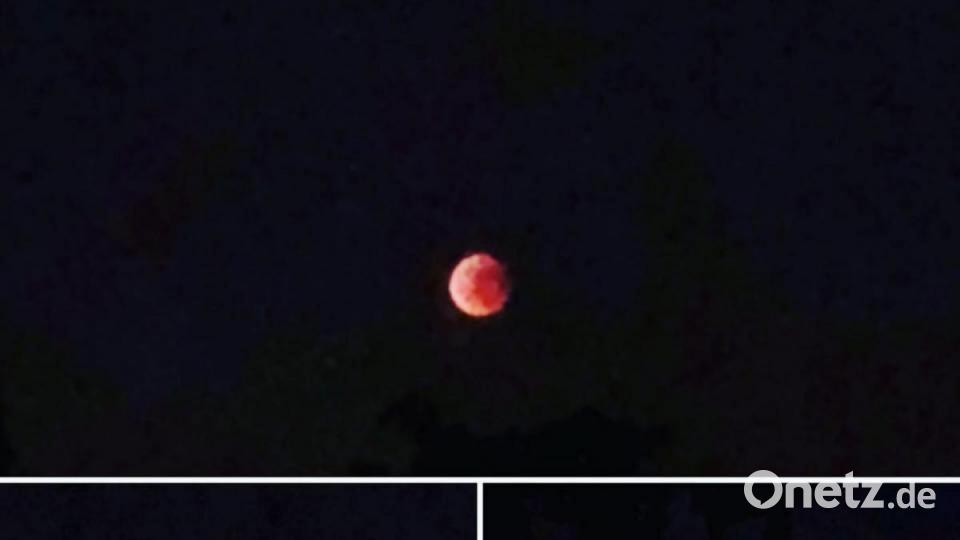 Mondfinsternis Bild: Sandra Pohl