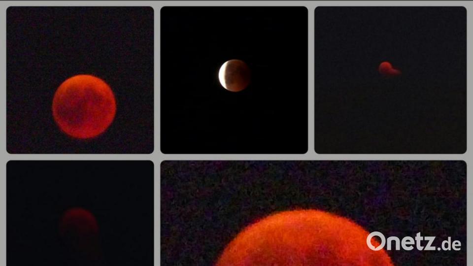 Mondfinsternis Bild: Ilse Hauer