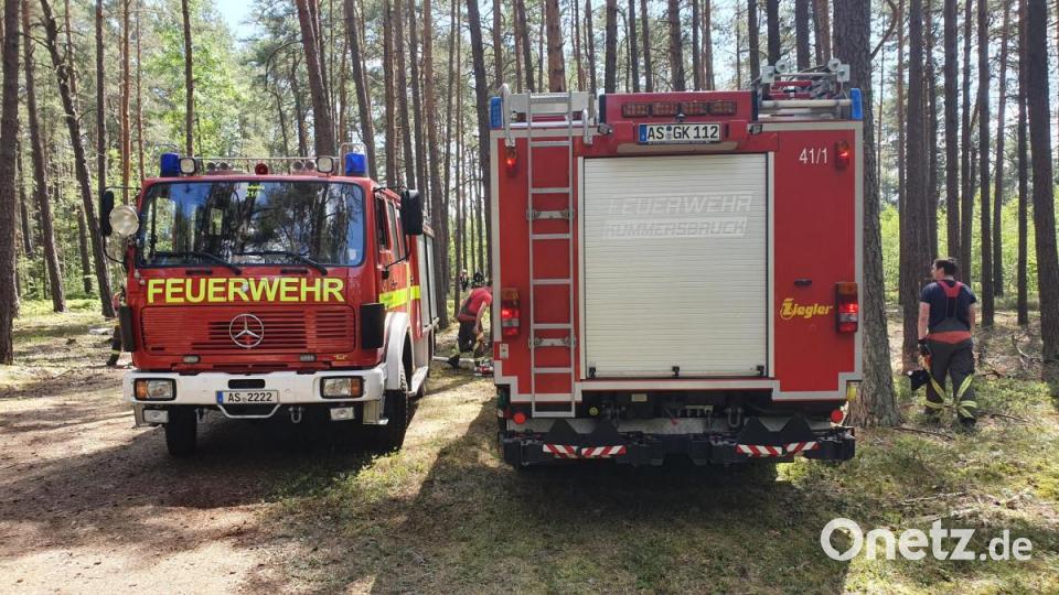 Böschungsbrände haben am Mittwochvormittag den Bahnverkehr auf der Strecke Amberg-Schwandorf zum Erliegen gebracht. Bild: exb