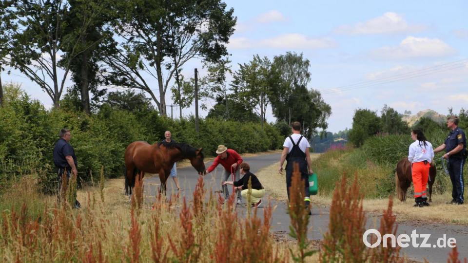 Ein ungewöhnliches Bild: Eine Sanitäterin des Bayrischen Roten Kreuzes mit einem Pony an der Leine, gefolgt von einer ausgewachsenen Stute und mehreren Einsatzfahrzeugen. Bild: rw