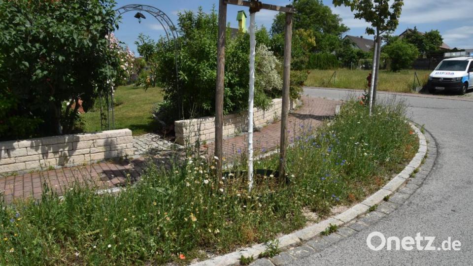 Auch in der Einsteinstraße sorgen die Stadtgärtner für mehr Natur. Bild: Andreas Royer