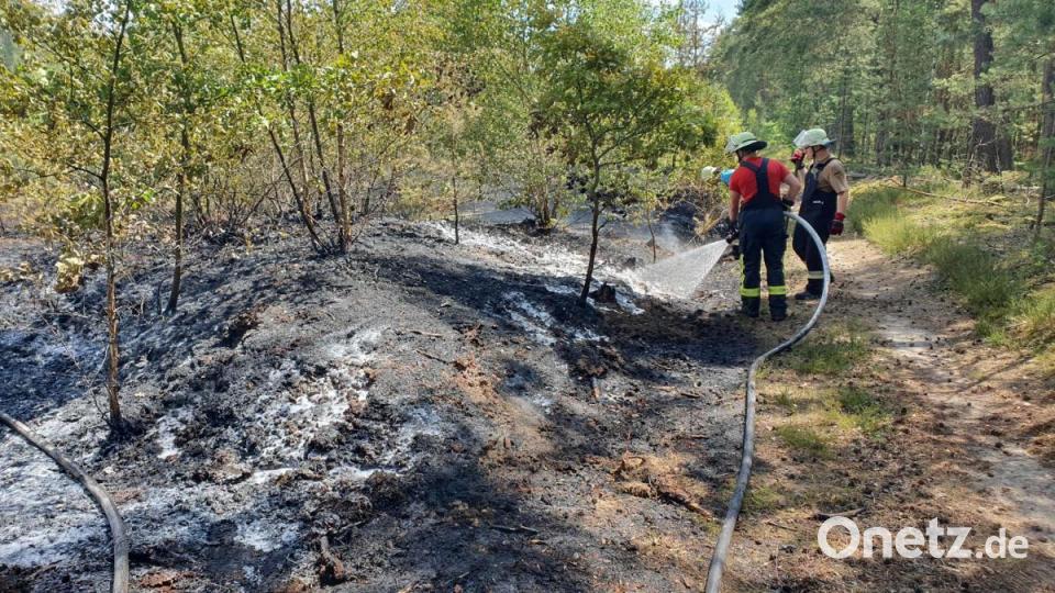 Böschungsbrände haben am Mittwochvormittag den Bahnverkehr auf der Strecke Amberg-Schwandorf zum Erliegen gebracht. Bild: exb