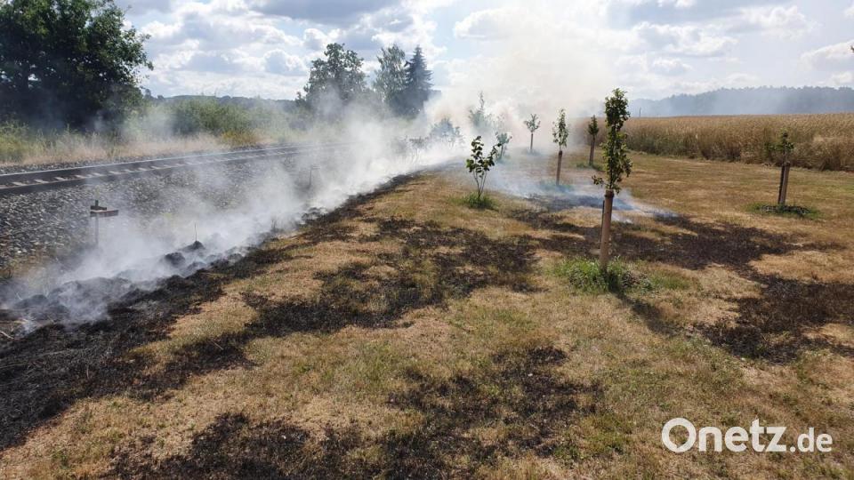 Böschungsbrände haben am Mittwochvormittag den Bahnverkehr auf der Strecke Amberg-Schwandorf zum Erliegen gebracht. Bild: exb