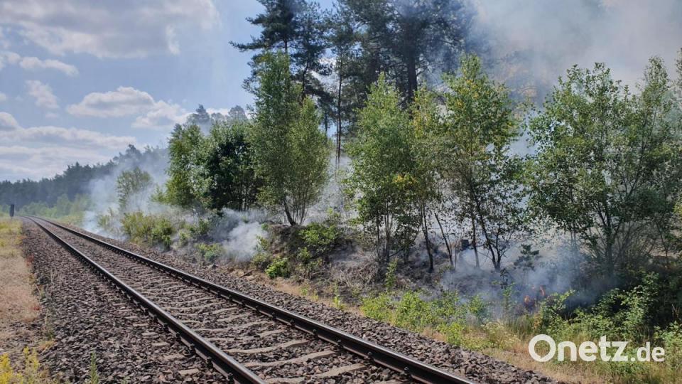 Böschungsbrände haben am Mittwochvormittag den Bahnverkehr auf der Strecke Amberg-Schwandorf zum Erliegen gebracht. Bild: exb