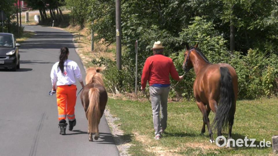 Ein ungewöhnliches Bild: Eine Sanitäterin des Bayrischen Roten Kreuzes mit einem Pony an der Leine, gefolgt von einer ausgewachsenen Stute und mehreren Einsatzfahrzeugen. Bild: rw